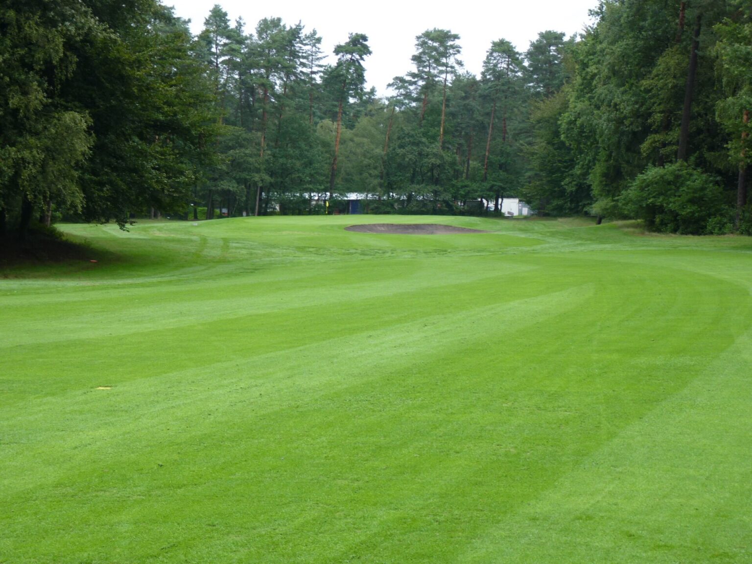 Golf Topu Fix